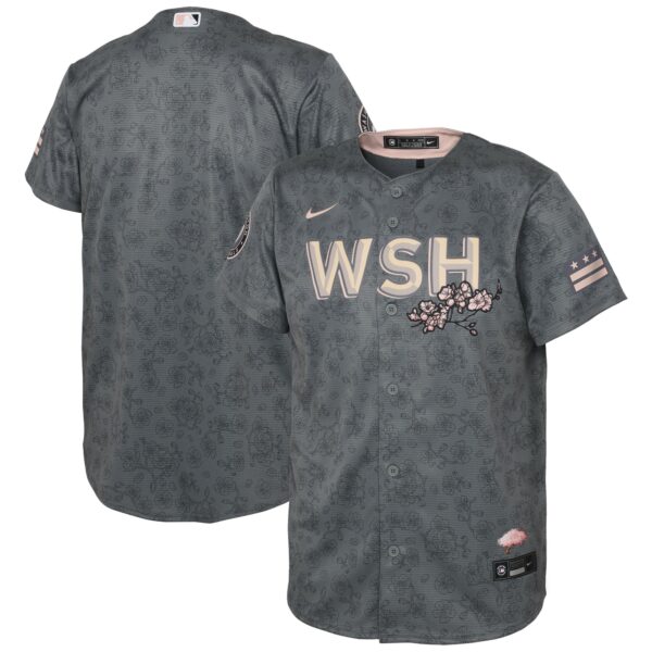 Youth Washington Nationals Nike Gray 2022 City Connect Replica Jersey