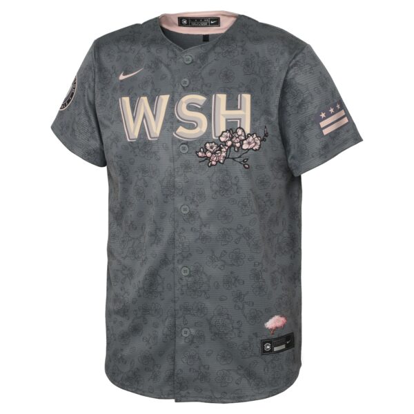 Youth Washington Nationals Nike Gray 2022 City Connect Replica Jersey